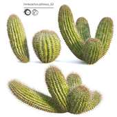 Ferocactus pilosus cactus_02