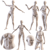 Female mannequin collection vol 04 Pbr Low Poly