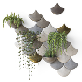 Wall hanging plants in ceramic pots and scale tiles.