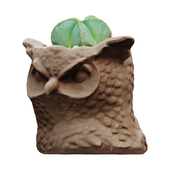 Owl vase with Astrophytum myriostigma