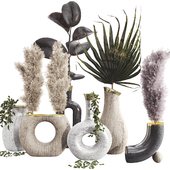 Plant Collection Set 12