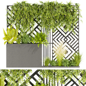Collection plant vol 390 - Urban environment - wall yard - leaf - bush - ivy