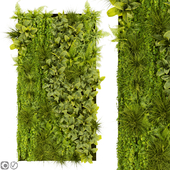 Collection plant vol 392 - fitowall - ertical - leaf - palm - grass - fern