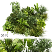 Collection plant vol 394 - outdoor - garden - leaf