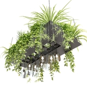 Растения в прямоугольном подвесном кашпо с подвесными светильниками