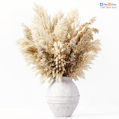 Dried Pampas Grass