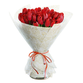 Flower Set 30 / Red Tulips Bouquet
