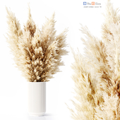 Dried Pampas Grass 02