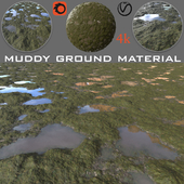 muddy ground