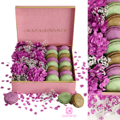 Box macarons 01