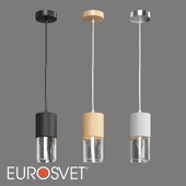 ОМ Подвесной светильник Eurosvet 50233/1 Hosk