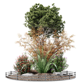 Alpine hill (Outdoor Plant Collection)