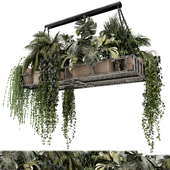 Indoor Hanging Plants in Metal Box - Set 1230