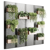 plants set partition in metal frame - Vertical graden wall decor box