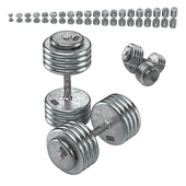 A set of 20 dumbbells from 5 to 100 kg