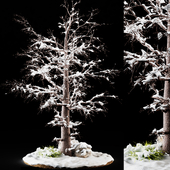 winter tree 01