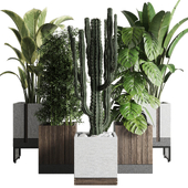 Indoor outdoor plant set 334 dirty wooden and concrete box