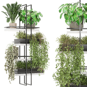 indoor hanging Plants Collection set_722