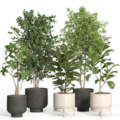 indoor plant set 42-concrete and metal pot