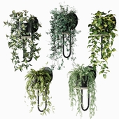 Ампельные растения в настенных кашпо Miniforms CIGALES WALL