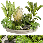 Collection plant vol 442 - garden - leaf - outdoor