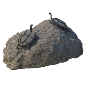 Камень с черепахой