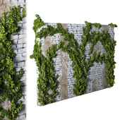 wall plant series-3