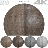 Texture Walnut №9