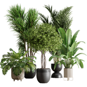 indoor plant set 58