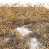 Dry grass (Autumn grass with snow)