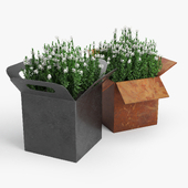 Box Contemporary Planter 02