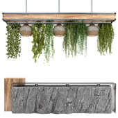 Restaurant counter with hanging plants