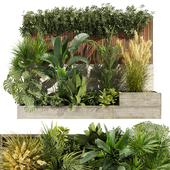 Collection plant vol 467 - garden - grass - leaf - palm