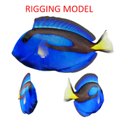 Blue tang fish rigging