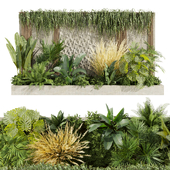 Collection plant vol 471 - garden - leaf - palm - grass