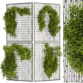 Collection plant vol 472 - bush - outdoor - leaf - fitowall - ivy