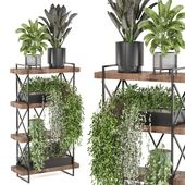 indoor  plants in metal shelf_set 798