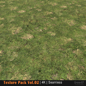 Grass texture P2-07
