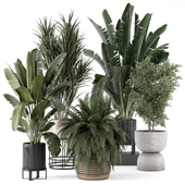 Indoor Plants in rusty Concrete Pot - Set 1417