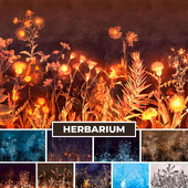 Wallpaper. Collection - Herbarium