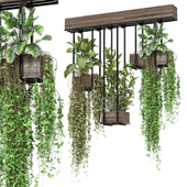 indoor hanging plants in metal box  Set 813