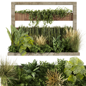Collection plant vol 484 - garden - palm - grass - leaf
