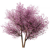 Spring Tree SetV1