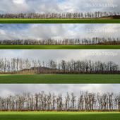 Panoramas with trees, field and partly cloudy. 3 pcs