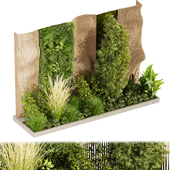 Collection plant vol 485 - garden - pampas - 3d curves - grass