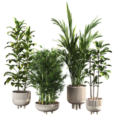 Plant Set 29