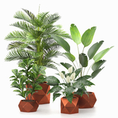 treez plants set 12