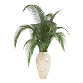 Bouquet Plant-Palm-No.15