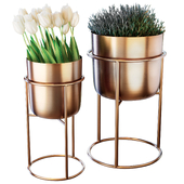 Planters in golden color with plants