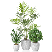 treez plants set 15
